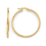 Hoop Earrings in 14K Gold