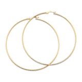 Hoop Earrings in 14K Gold