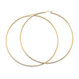 Hoop Earrings in 14K Gold