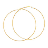 Hoop Earrings in 14K Gold