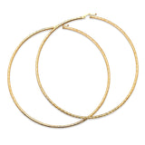 Hoop Earrings in 14K Gold