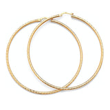 Hoop Earrings in 14K Gold