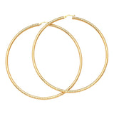 Hoop Earrings in 14K Gold