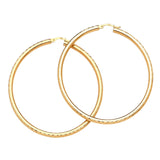 Hoop Earrings in 14K Gold