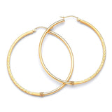 Hoop Earrings in 14K Gold